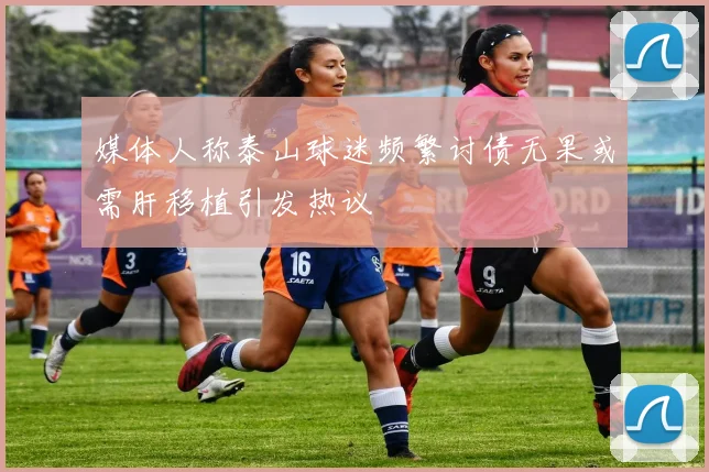 媒体人称泰山球迷频繁讨债无果或需肝移植引发热议